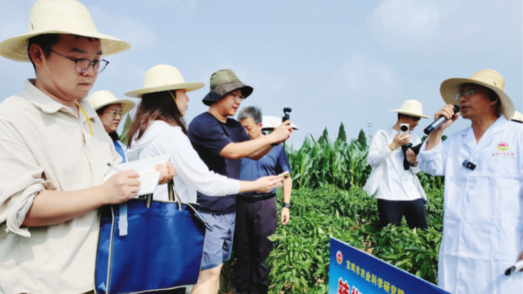 聚焦生产一线 展现发展成就  “活力中国调研行·万千气象看陕西”中省媒体采访团莅宝